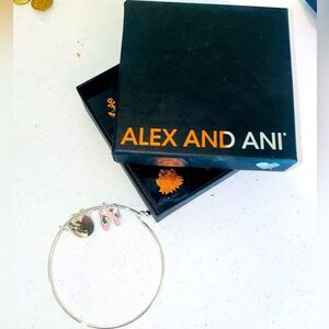 New Alex & Ani silver bangle bracelet dance charms jewelry clasp